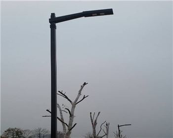 市電道路路燈-陜西省安康市滬康酒業有限公司路燈項目